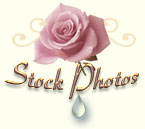 Stock Photos at Rosecote